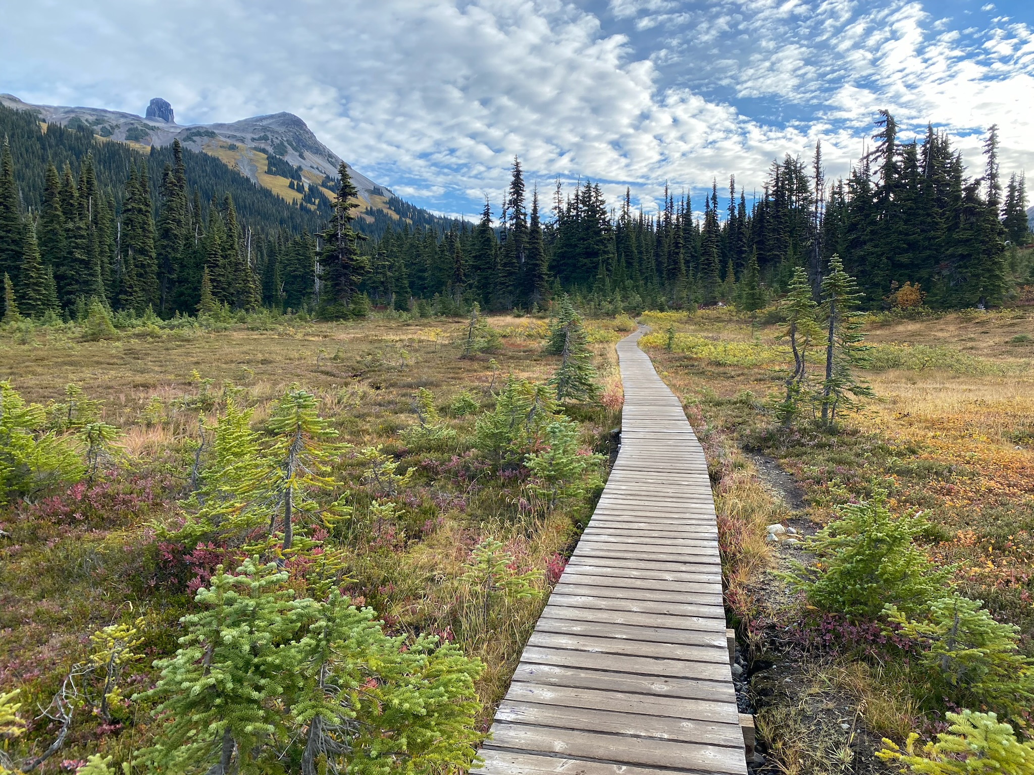 Black Tusk (false summit)